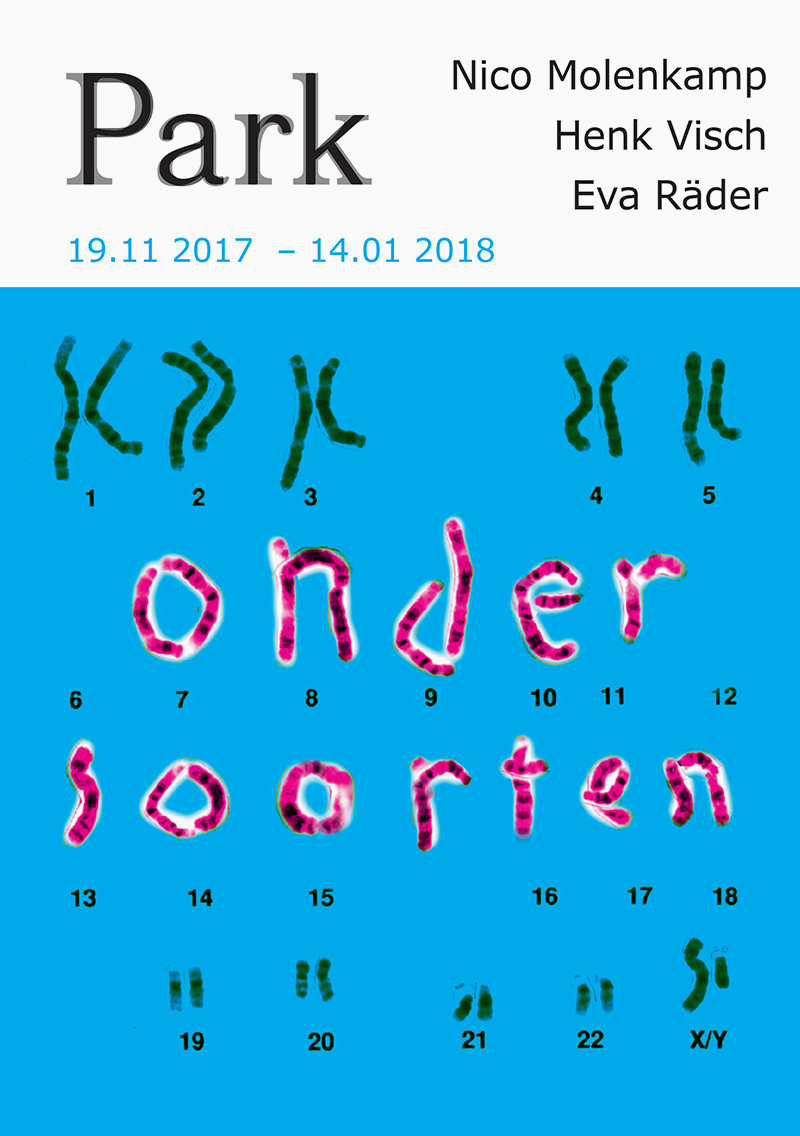 ONDER SOORTEN