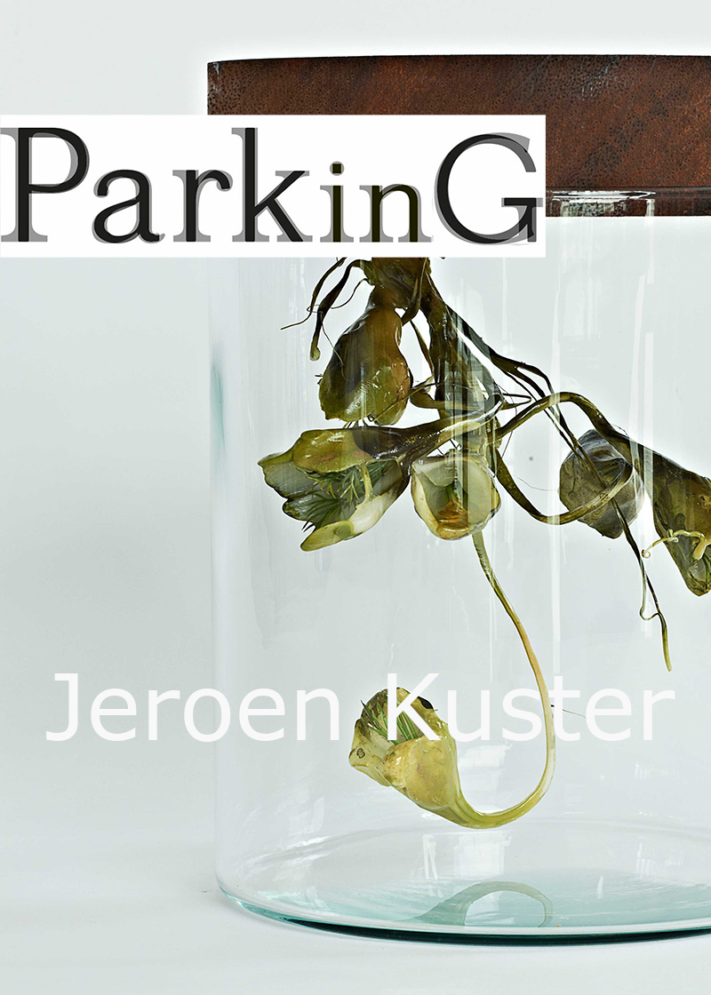 PARKinG - Jeroen Kuster