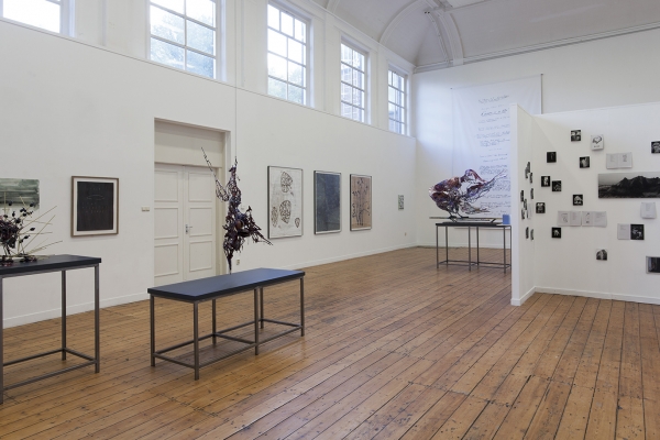 installation view