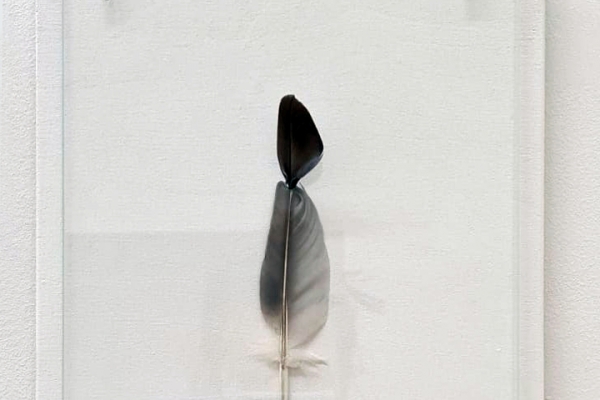 Anneke Eussen - Fragile Freedom #10 >SOLD