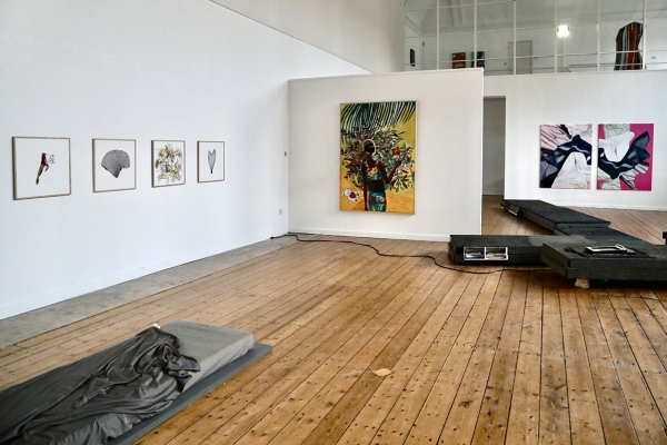 installation view