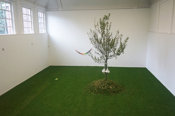 installation view