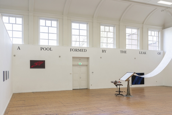 Novel Tongues installation view