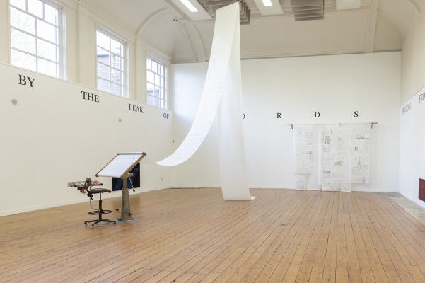 Novel Tongues installation view