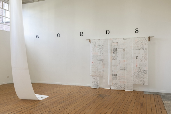 Novel Tongues installation view